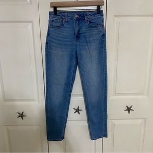 American Eagle Mom Jeans 2R